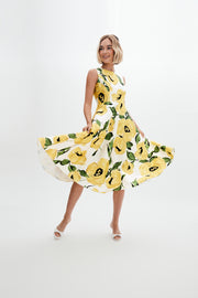 veronica dress in citron cornelia st. rose