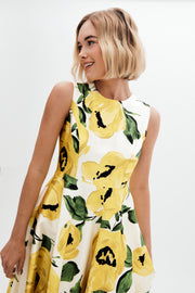 veronica dress in citron cornelia st. rose